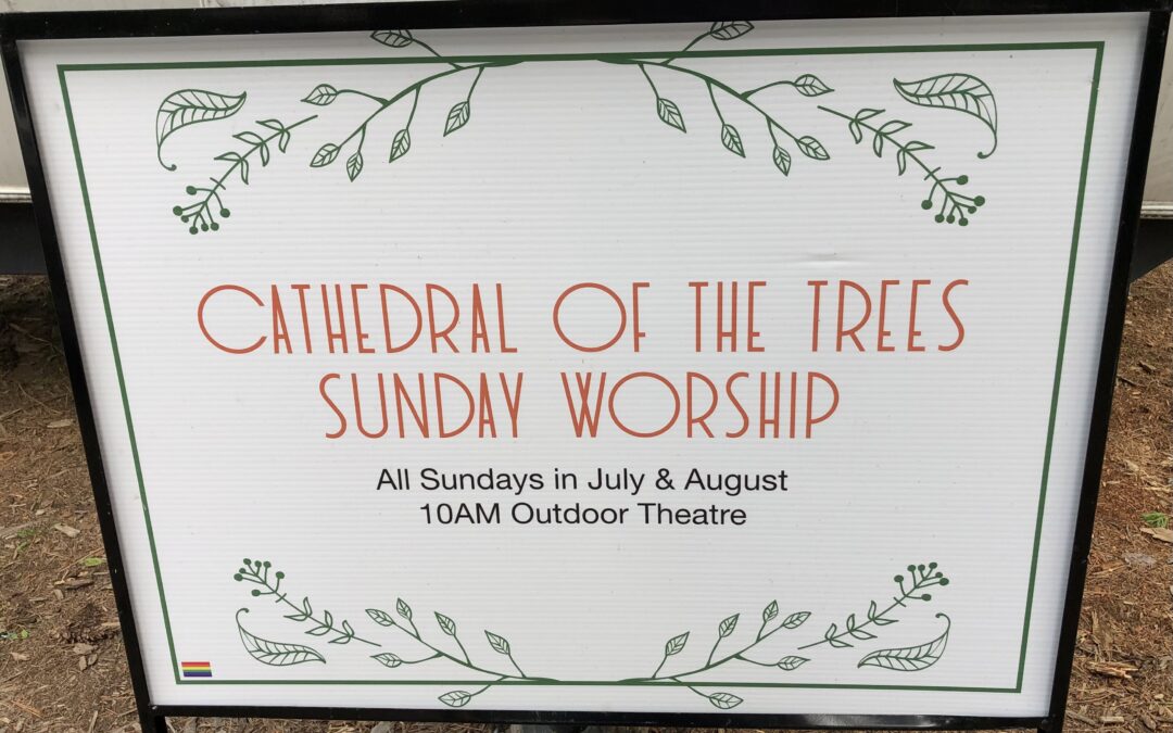 Application to Lead Worship at The Cathedral of The Trees- Algonquin Park- Trailer